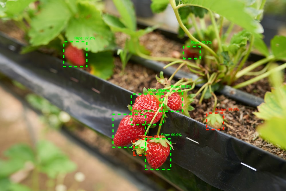 Machine vision voorbeeld