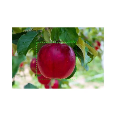 Object detection